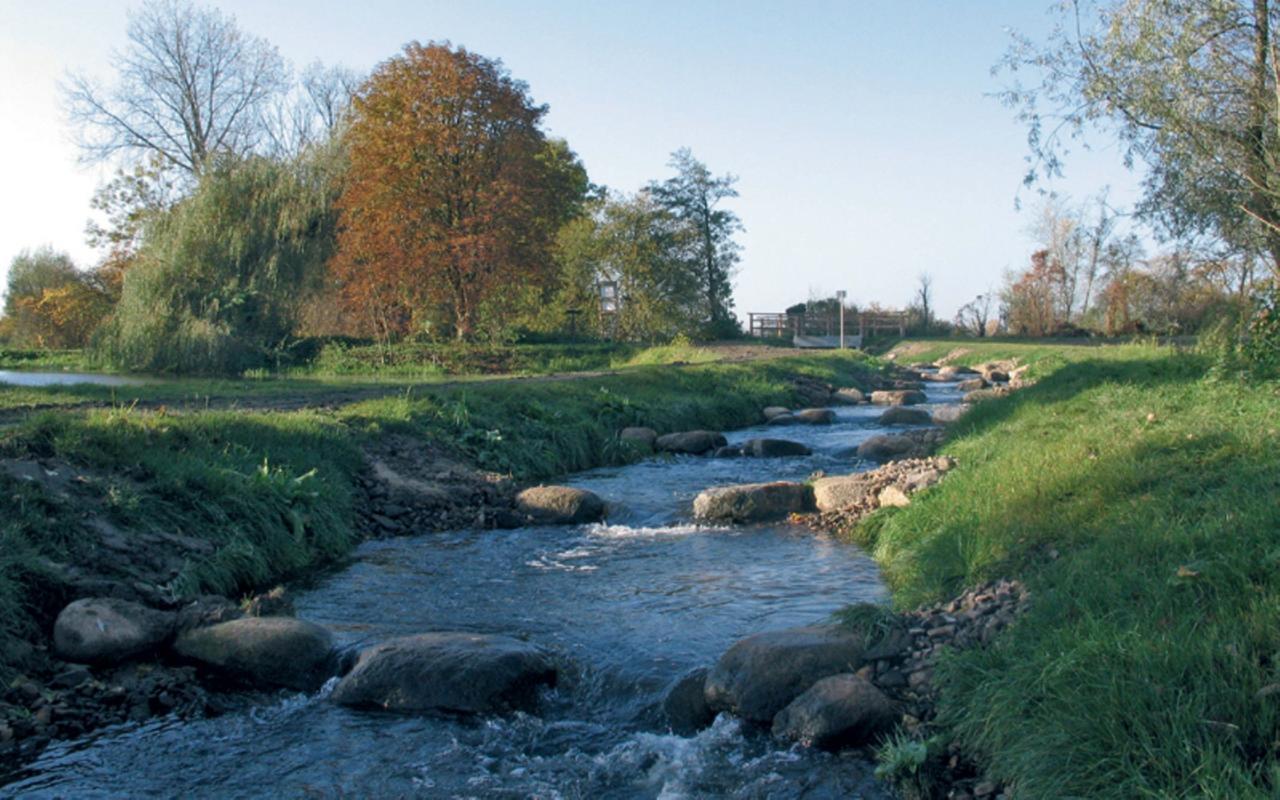 Ratsschaenke - Hotel Garni Gifhorn Zewnętrze zdjęcie